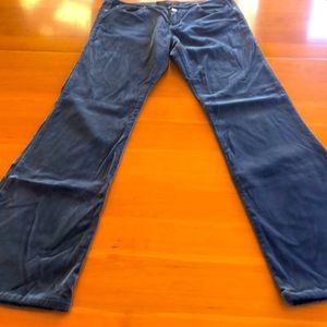 Juicy Velvet Low Rise